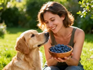 Golden retriever siedzący na zielonej łące i podgryzający świeżą trawę w słoneczny dzień.